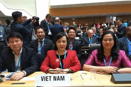 Le Vietnam estime le rôle de l'OMS dans l'élaboration des politiques de santé