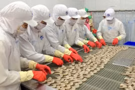 MIC appelle à l’Australie à renoncer à l’interdiction d’importation de crevettes