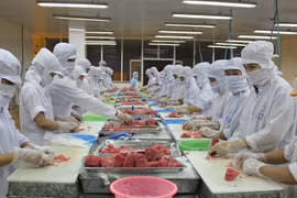 Les Américains friands de thon vietnamien