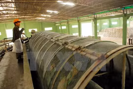 Thanh Hoa fait appel à l'investissement pour 50 projets 