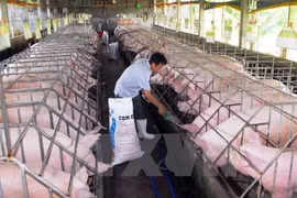 Le groupe français Olmix inaugure une usine d'additifs alimentaires à Binh Duong