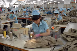 Tiên Giang : 627 millions de dollars d'exportations au premier trimestre