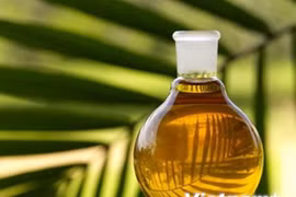 L'Indonésie appelle l'ASEAN à protester contre la limite de consommation de l'huile de palme