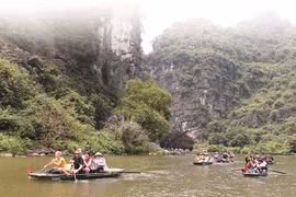 Visite du Royaume de Kong, potentat de Skull Island