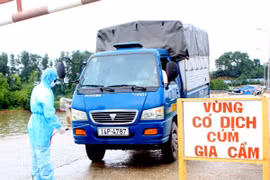 La désinfection des moyens de transport dans la zone d'épidemie. Photo : VNA