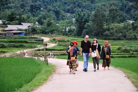 Lao Cai (Nord) entend accueillir prochainement environ 100.000 touristes, dont 50.000 à 70.000 rien que dans le district de Sa Pa. (Source : VNA)