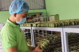 L’emballage des banh chung dans les locaux de l’entreprise Trân Gia. (Source : VNA)