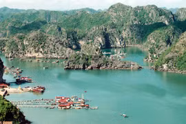 Une vue du village des pêcheurs Cai Beo. Photo : HP