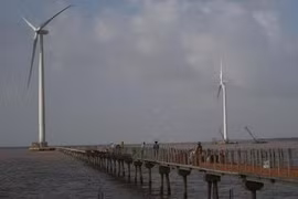 Des turbines de la centrale éolienne de Bac Lieu. (Source: Internet)