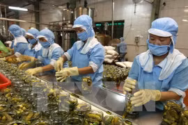 La transformation des produits agricoles pour l'exportation. Photo d'illustration. Source: VNA