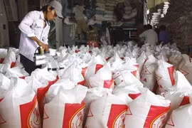 Colloque sur le riz, les paysans et le développement rural au Vietnam 