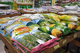 Le riz bio conquiert de plus en plus le marché vietnamien. 