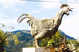 La fameuse statue en béton du «coq à neuf ergots» du village de K’Long. (Photo: Nguyên Dung/CVN)