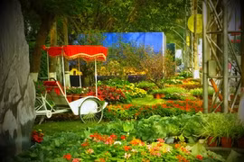 La rue florale Le Loi. Photo: internet