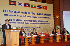 Le vice-ministre des AE vietnamien Bui Thanh Son prenant la parole au forum d'affaires Mékong-R. de Corée. (Source : VNA)