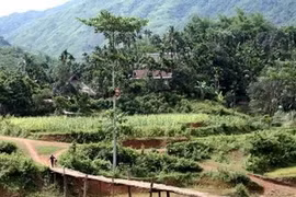 La Réserve naturelle de Pù Luông (Source: Internet)