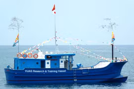 Un bateau en composite consomme 30% d’énergie de moins que son équivalent en bois, et sa durée de vie est d’au moins 20 ans. (Source : VNA)