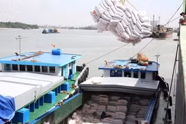 Chargement du riz au port de Sai Gon. (Photo: Dinh Hue/AVI)