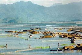 La zone de marais et de lagunes de Tam Giang-Cau Hai. (Source: Internet)