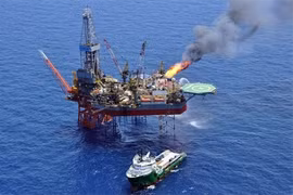En cette conjoncture de forte baisse des prix du pétrole sur les marchés mondiaux, PVN pense suspendre l’extraction sur ses gisements dont le coût d’exploitation est élevé. Photo : VNA
