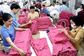 Dans une entreprise exportatrice des prêts-à-porters à Binh Duong (Sud). Photo : VNA/CVN
