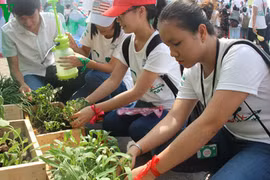 Les jeunes participent activement aux activités en écho à la Journée mondiale de la Terre 2014. (Photo: VOV)