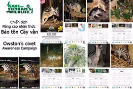 Le calendrier sur le thème de la civette palmiste d’Owston. Photo : SVW/CVN