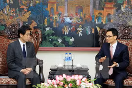 Le vice-Premier ministre vietnamien Vu Duc Dam (droite) reçoit le chef de la Commission des politiques fondamentales de la Chambre basse japonaise, Ichiro Aisawa (gauche). Photo: VNA