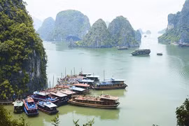 La baie de Ha Long a été reconnue deux fois par l’UNESCO patrimoine naturel mondial. (Source : VNA)