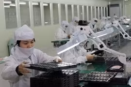 Activités d'entreprises sud-coréennes au Vietnam. (Photo: Danh Lam/VNA)