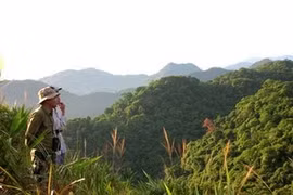 Stratégie de protection de la cordillère Truong Son 