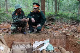 Le Vietnam souhaite recevoir le soutien de la République de Corée dans la neutralisation des bombes et mines laissées par la guerre. (Source : VNA)