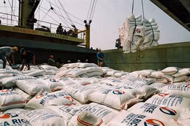 Le riz, un des marchandises exportés vers l’Afrique du Sud. (Source : VNA)