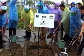 La plantation des arbres en écho à la campagne "Nettoyons la Terre 2012" (Photo: Tran Le Lam/AVI)