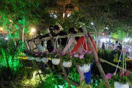 La foire aux fleurs printanières de Phu My Hung ouvre ses portes le 12 février à Hô Chi Minh-Ville.