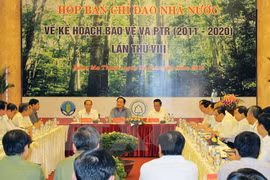 La réunion du Comité national de pilotage sur le plan de protection et de développement des forêts. (Photo: Quang Huy/VNA)