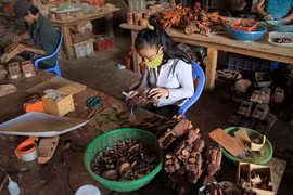 L’entreprise de jouets Thanh Nhân fabrique des produits de qualité. Photo/VNA 