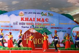 Cérémonie d'ouverture du Festival des fruits du Sud 2013, 1er juin, à Hô Chi Minh-Ville. (Source: VNA)