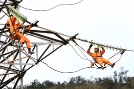En 2014, EVN a investi 125.453 milliards de dôngs, soit près de 5,9 milliards de dollars, dans la construction d’ouvrages électriques. Photo : Ngoc Hà/VNA
