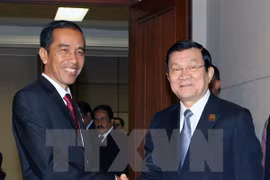 Le président du Vietnam Truong Tan Sang (droite) a eu une entrevue avec le président indonésien Joko Widodo. (Photo: Nguyễn Khang/VNA)