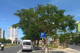 La ville de Da Nang (Source: baodanang.vn)