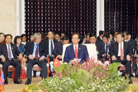 Le Premier ministre Nguyen Tan Dung au 8eSommet du Triangle de développement CLV. Photo/VNA 