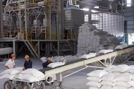 L’objectif de 2014 est d’exporter 7 millions de tonnes de riz. Photo : VNA