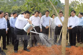Le président du Vietnam, M. Truong Tan Sang, a participé le 24 février à la Fête de plantation d'arbres du Printemps At Mui 2015. Source: VNA