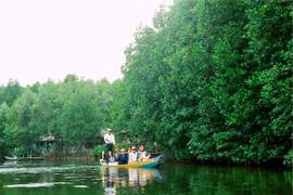 La biosphère de Can Gio, à Ho Chi Minh-Ville, figure dans le top 100 des destinations durables du monde en 2014. (Source : VNA)