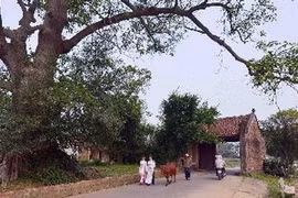 La porte du village de Duong Lam. (Source: VNA)