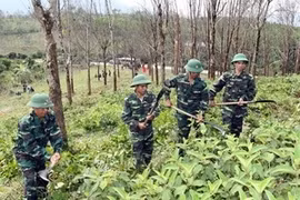 Le règlement des conséquences des bombes et mines laissées après la guerre dans la ville de Hue. (Photo: Trong Đuc/AVI)