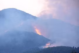 Un incendie dans la forêt à usage spécifique de Nam Hải Vân. (Photo: Tran Le Lem/AVI)
