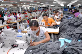 Activités des entreprises singapouriennes au Vietnam. Photo: VNA