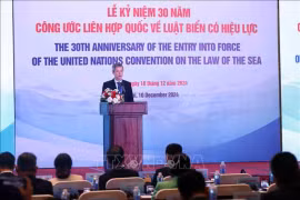 Nguyên Minh Vu, assistant du ministre vietnamien des Affaires étrangères. Photo: VNA